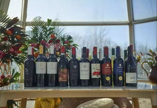 200畝農場,每年接待20萬人,收入4000萬,秘訣在哪