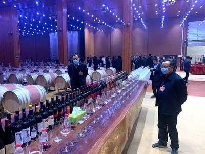 全國易地扶貧搬遷后續扶持和產業扶貧工作會代表在銀考察