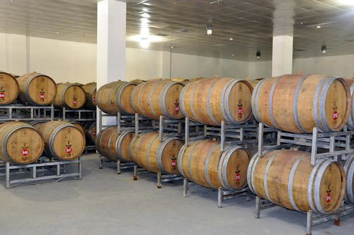 寧夏首個(gè) 西北單體規(guī)模最大的白蘭地基酒蒸餾項(xiàng)目正式投產(chǎn)