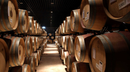 鍛造賀蘭山下&ldquo;紫色&rdquo;長(zhǎng)廊 永寧縣精心釀造&ldquo;醉美&rdquo;產(chǎn)業(yè)