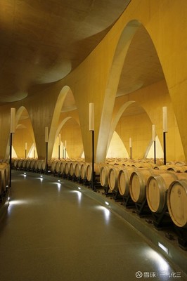 Anti&oacute;n酒莊:提供完美葡萄酒體驗的建筑藝術杰作